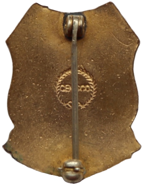 Type 1